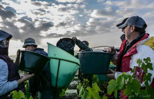 Gîte La Clématite - Foto 26
