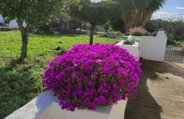 Monte da Bisa - Tavira - Foto 23