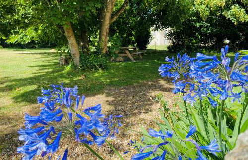 Château de Salvert - 4 Gîtes - 32 personnes - Foto 77