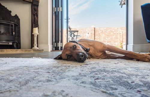 Chapel Cottage at Pond Hall Farm, Stunnning Property with Private Hot Tub, Hadleigh - Foto 56