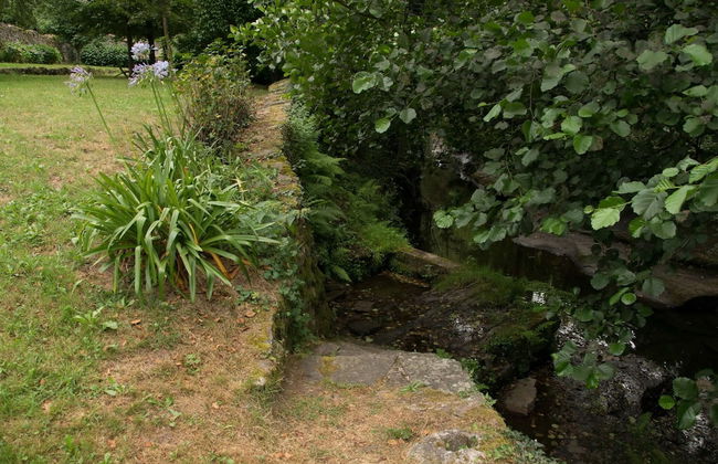 Molino de Yera - Foto 43