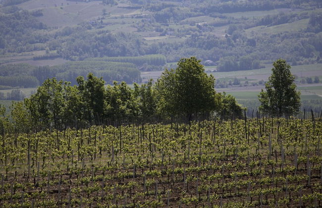 Cascina Marcantonio - Photo 56