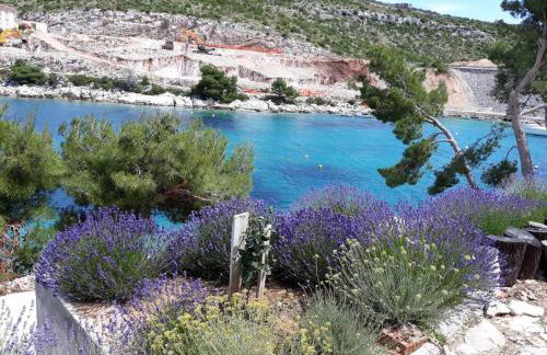 Apartman ANA - Foto 19