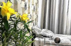 Mello's House - Foto 10