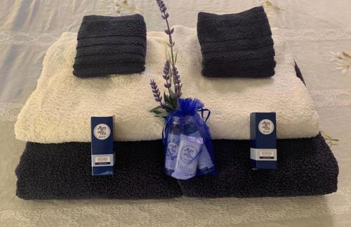 Casa nel verde a 300 mt dal mare a Castiglioncello - Foto 22