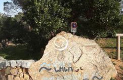 The Apricot House, alle porte di San Teodoro - Foto 44