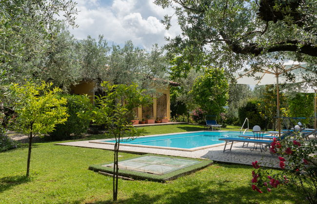 Olive Grove Sabina - Foto 26