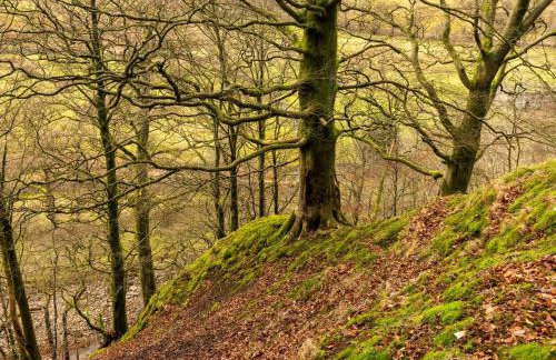 1 Bed in Hawes oc-94120 - Photo 25