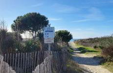 La Voile Bleue où il fait bon être plage et commerces à pied - Photo 29