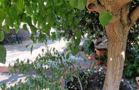 Casa della Zagara - Foto 31