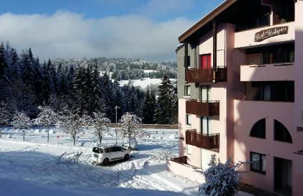 Appartement dernier étage au pied des pistes HIRMENTAZ - Foto 1