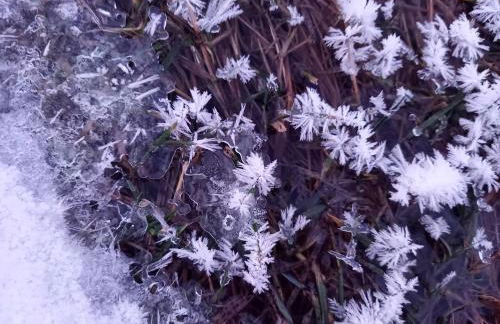 Ferienhaus Sinneswandel - Foto 23