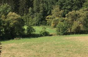 Generations Holiday Green Views - Foto 67