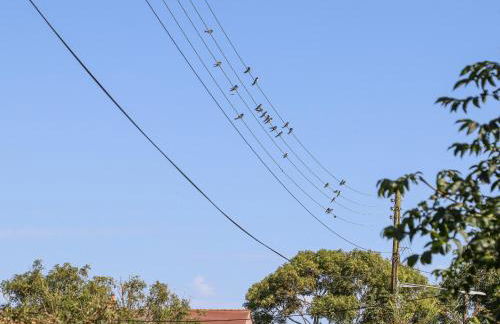 Hopkins at The Homestead - Foto 43