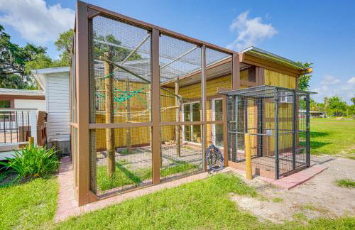 Sleep With Sloths and Lemurs! Modern Webster Home - Foto 25