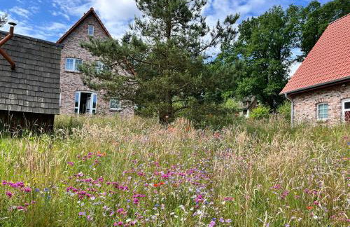 Bispinger-Heidezauber-Haus-Hartriegel - Foto 2