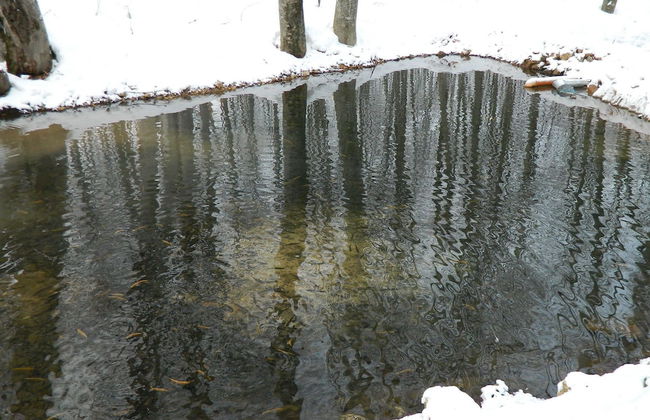 Turbaza Serebryany Klyuch - Photo 37