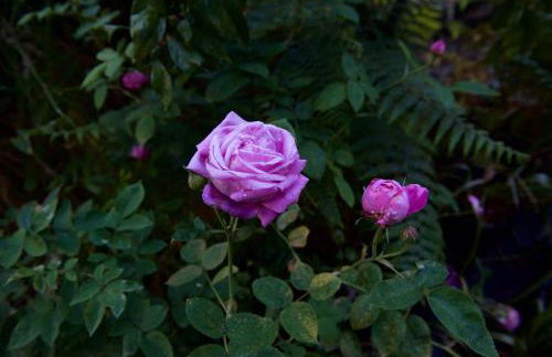 Casa Rural de Tío Félix - Foto 34