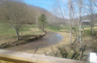 Tranquil Waters Cabin - Foto 10