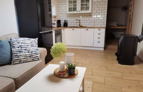 ACTIVFARM DOMKI NA KASZUBACH Domek Dorotka - Foto 7