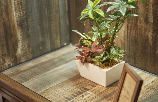 Oyado Kinokuniya Gotou Machi - Foto 55