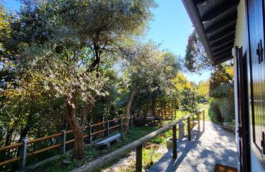 Mid of Nature ' Bella Vista Lago Maggiore charmant mit traumhaften Seeblick, Terrasse und großen Garten - Foto 36