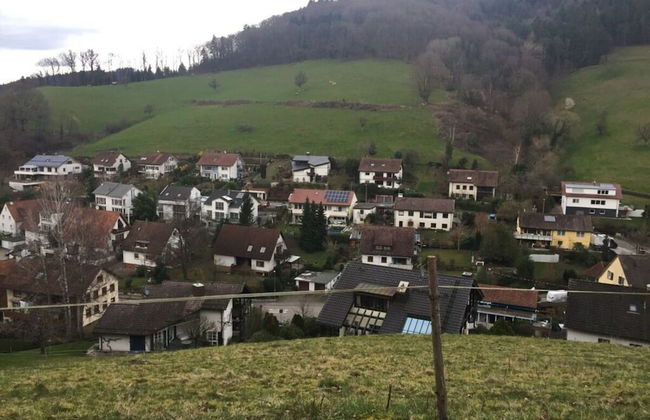 Uitzicht op het Zwembad - Foto 24