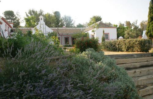 Cortijo El Triguero N-398 Ctra Carmona – El Viso del Alcor Km 18 - Foto 16