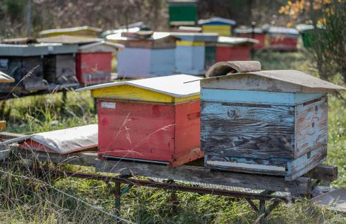 Il Capriccio del Papa - Foto 86