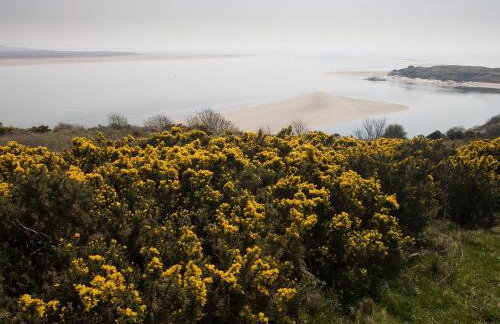 Bryn Y Mor, Borth Y Gest - Foto 65