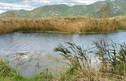 Villa Tina - Foto 68