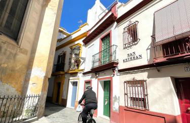 Remolars Sevilla - Foto 38