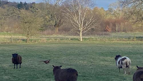 A charming cottage in a beautiful setting. - Foto 3