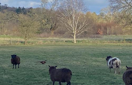 A charming cottage in a beautiful setting. - Foto 3