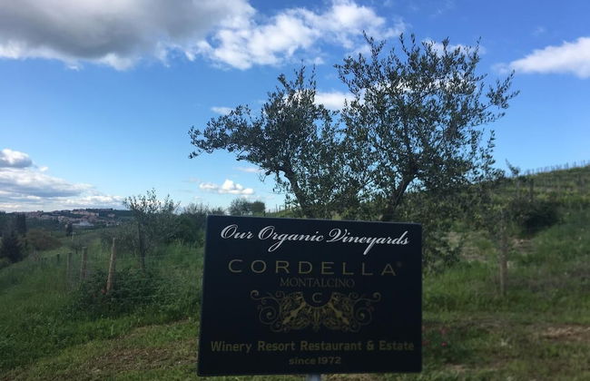 Cordella in Montalcino Wine Resort - Foto 41