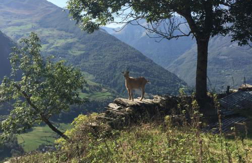 La Petite Maison des Montagnes - Foto 38