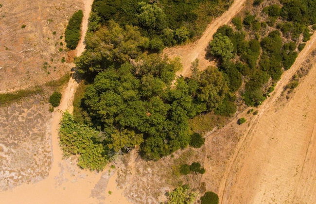 Antigoni Beach House Large Private Pool Walk to Beach Sea Views A C Wifi Car Not Required - 1012 - Foto 5