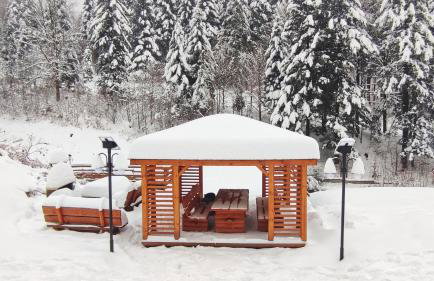 Czarodziejska Góra Kozubnik Daglezja - Foto 22