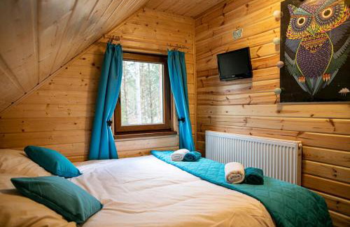 Domek całoroczny SÓWKA na Kaszubach z banią i sauną na wyłączność, wspólny basen i bilard z domkiem Jeleniówka - Ostrowite Leśna Dolina - Foto 32