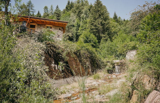 Maso nel bosco - Photo 42