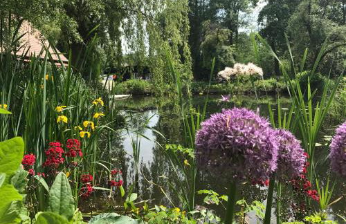 Ferienwohnungen direkt am Wasser - Photo 25
