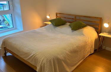 La Pistacherie à 30m de la plage de Grande Rive - Foto 21