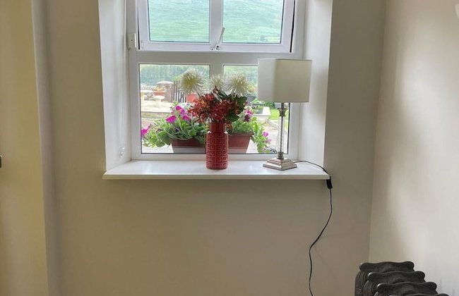 Cottage in the Dublin Mountain - Foto 17