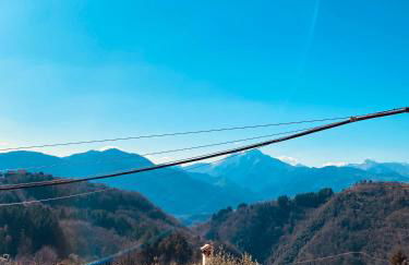 Porta a Piastri Apartment - Foto 14