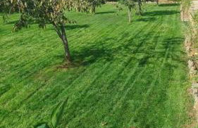 Villa Anasa Residence - Foto 23