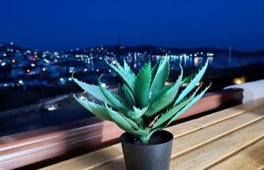 Plakourakia - Photo 41