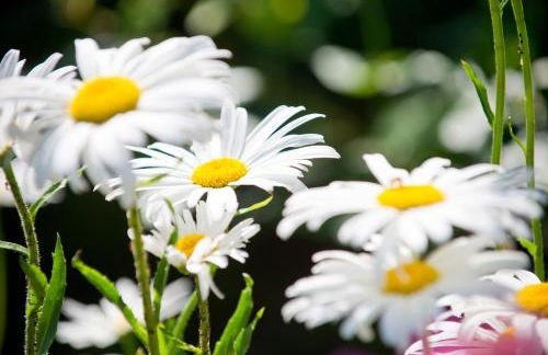 Aparthotel Parsberg GreenDesign - Foto 79