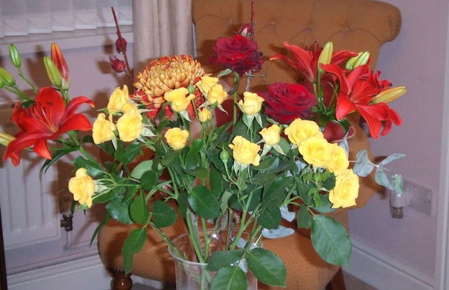 Queens Road Rental - Winchester Accommodation - Foto 14