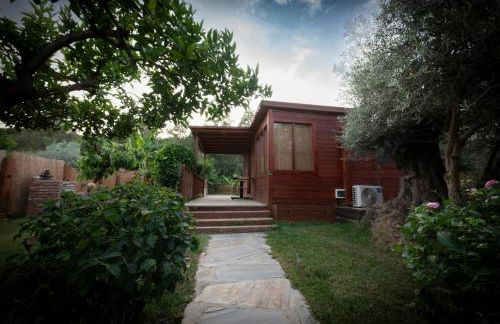 El jardín del Edén - Foto 7