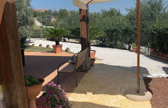 agriturismo cerquatonda - Foto 32